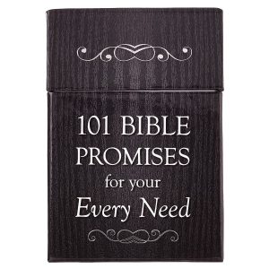 101 Bible Promises for Your Every Need, Box of Blessings