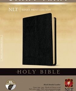 Holy Bible, Giant Print NLT - Bonded leather, Indexed