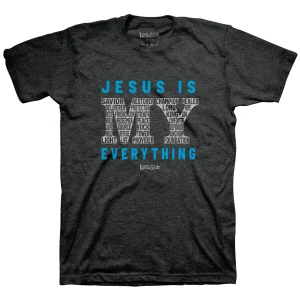 Jesus Is My Everything T-Shirt
