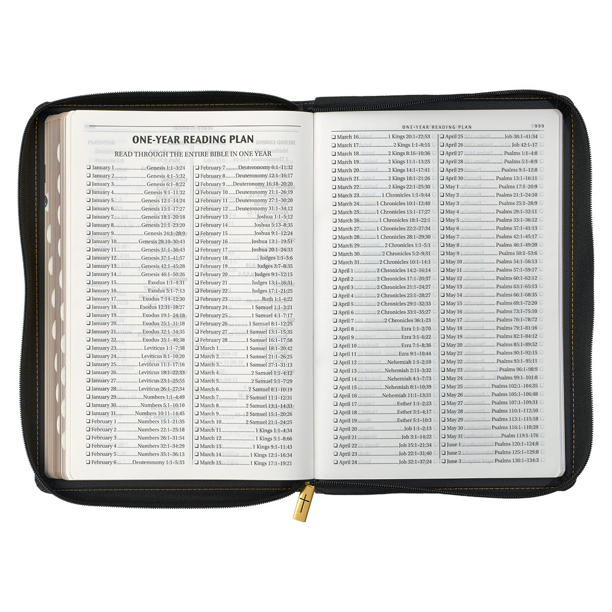 KJV178_11--featureG
