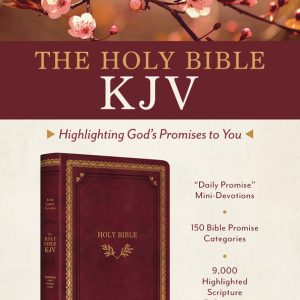 The Holy Bible KJV: Highlighting God's Promises to You (Crimson & Gold)