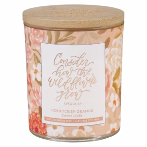 Wildflowers Honeycrisp Orange Scented Candle in Glass Jar - Luke 12:27